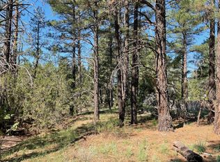 1092 Mogollon Cir, Show Low, AZ 85901