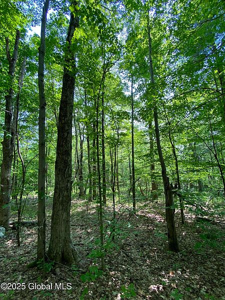 3rd image of L20.44 Robinson Hollow Way