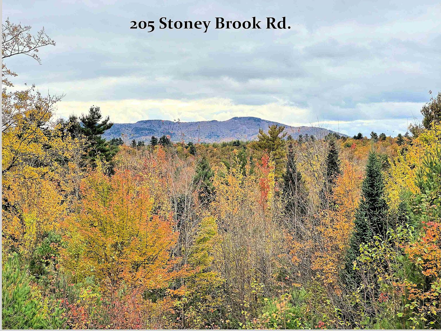205 Stoney Brook Road, Newbury, NH 03255 Zillow