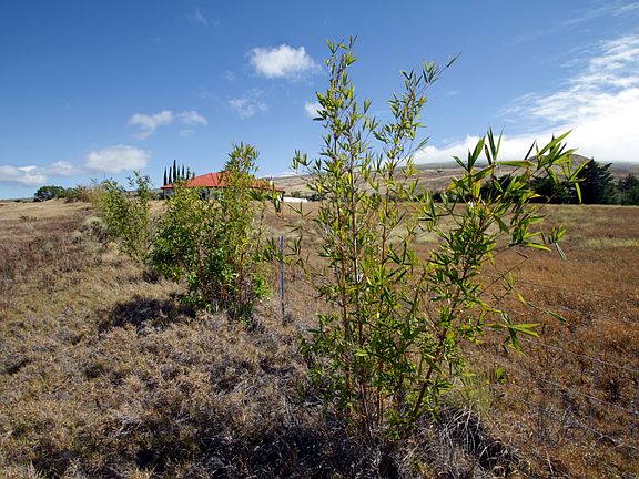5th image of Anekona Estates Lot #27-b
