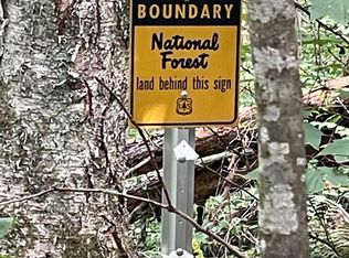 24 Old Faber Rd LOT 24, Topton, NC 28781