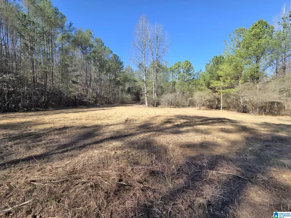 1615 Blanton Rd #0, Parrish, AL 35580