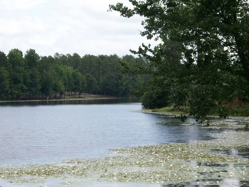 2nd image of 208 Spreading Branch Dr