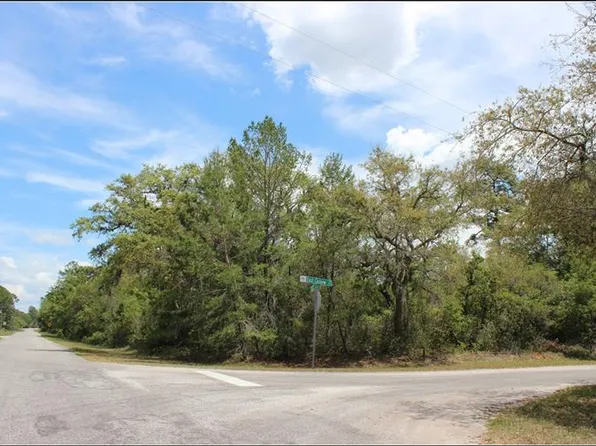 E Cashew Ct, Eustis, FL 32736