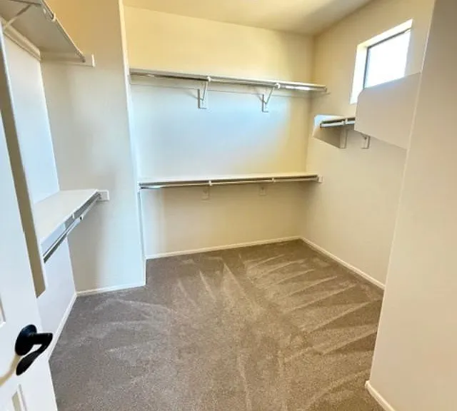 8536 E Kael St — Photo 19