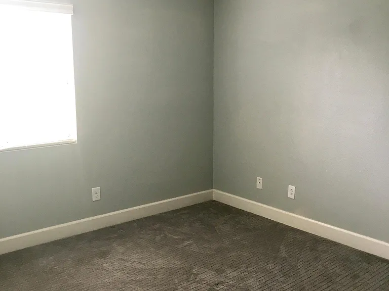 2331 Silver Crew Pass — Photo 13