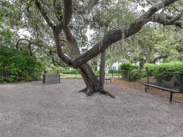 Arbor Trace — Photo 23