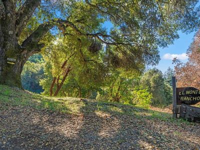 15380 Stetson Rd, Los Gatos, CA, 95033
