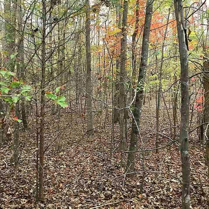 2nd image of 503 W Peninsula Dr