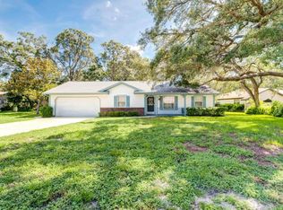 8347 Dorsey St, Spring Hill, FL 34608
