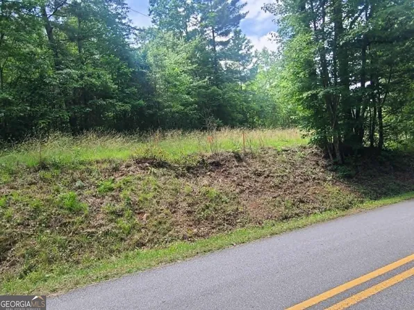 201 Spookhaven Ln, Clarkesville, GA 30523