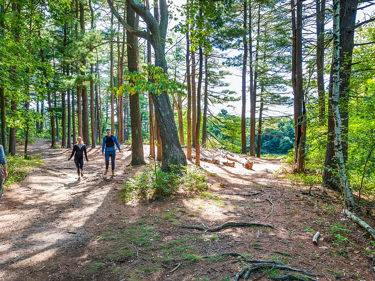 Right next to the trails of the Blue Hills Reservation.