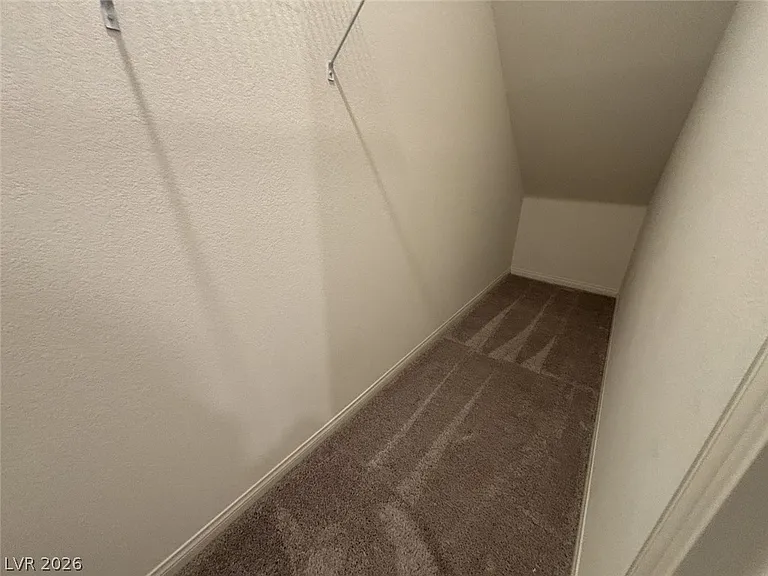 7008 Dandelion Park Ave — Photo 20