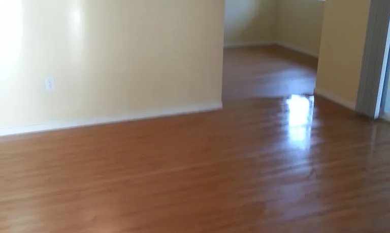 297 Myer Dr — Photo 10