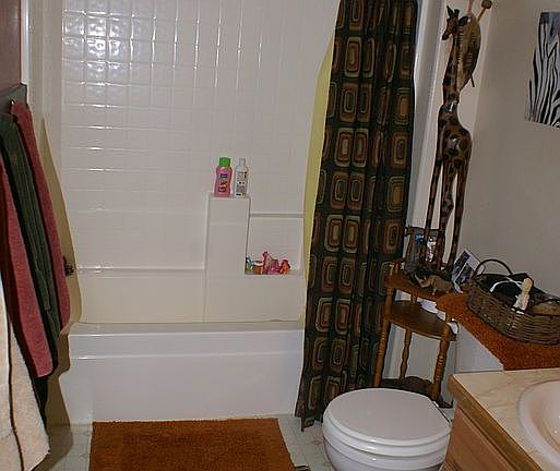 2nd full bath on main level view