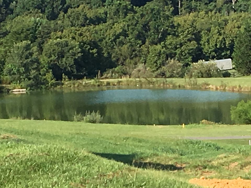 1st image of Hills Of Ashley Lot 2