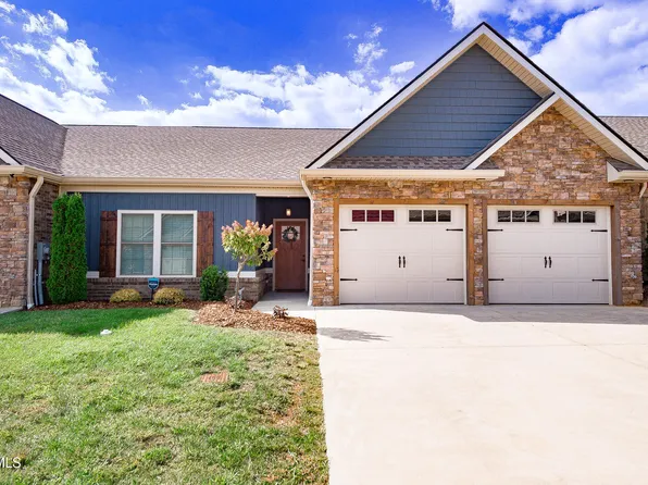 263 Harps Ln, Gray, TN 37615