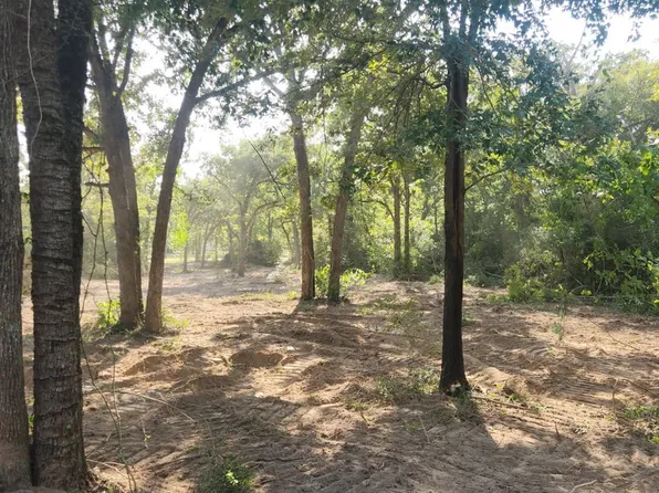 13319 Tyler Ln, Franklin, TX 77856
