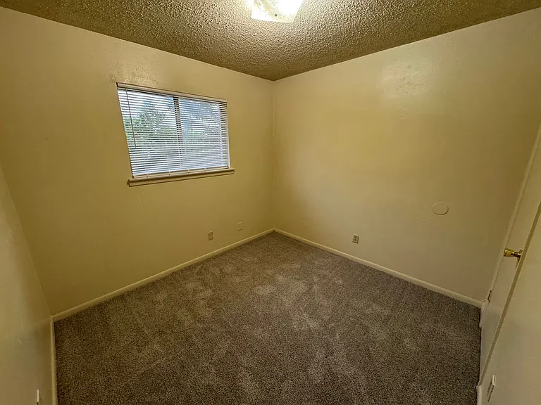 228 Hold Street — Photo 12