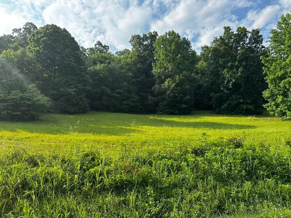 TRACT 2 Buckhead Trl, White Pine, TN 37890