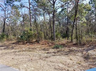 11522 Marvelwood Rd, Weeki Wachee, FL 34614