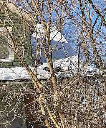 17427 Mackay