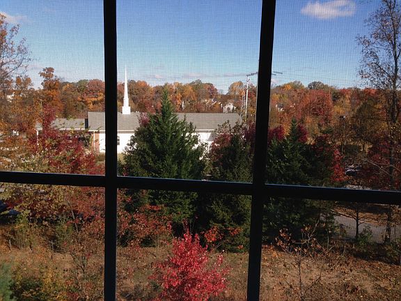 View from Master Bedroom