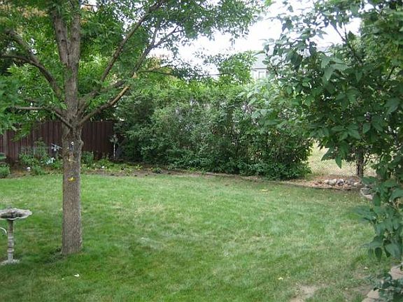 Spacious fenced backyard