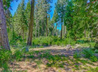 10 Timber Trail Ct, Arnold, CA 95223