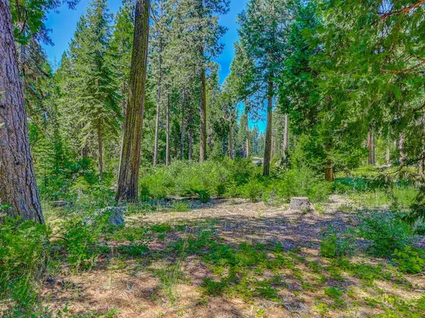 10 Timber Trail Ct, Arnold, CA 95223