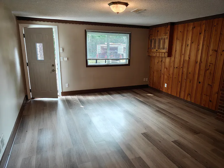 Basement Family Room