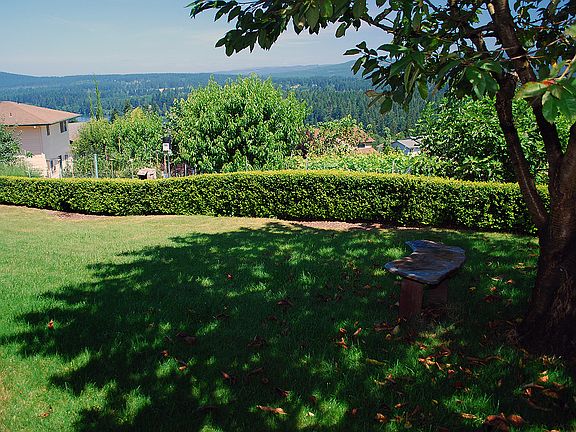 Peaceful Setting