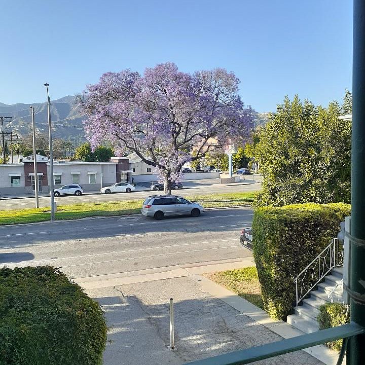 1st image of 542 W Glenoaks Blvd