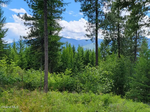 Bootlegger Ln Parcel 1, Bonners Ferry, ID 83805