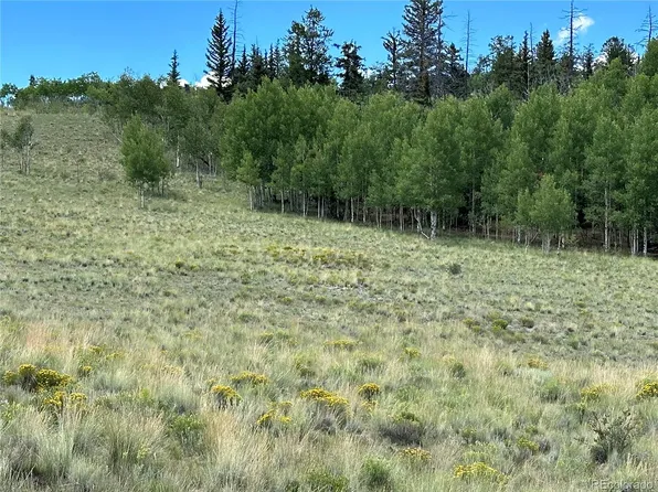 95 Wabeno Court, Jefferson, CO 80456