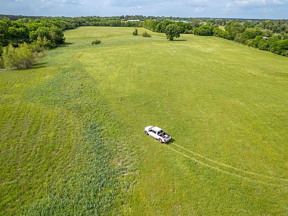 Primary Pasture