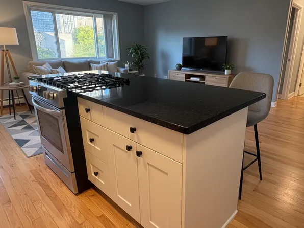 663 W Grace, 663 W Grace St APT 511, Chicago, IL 60613