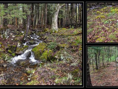 1290 Valentine Pond Road, Adirondack, NY, 12808