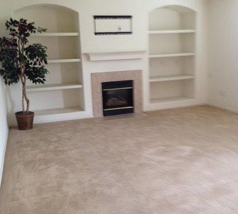 living room w/built in and gas fireplace
