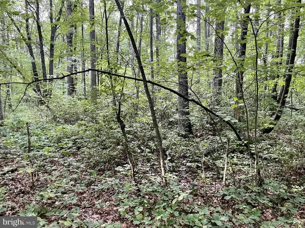 63 Cedar Ln, Oakland, MD 21550