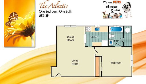 1st image of 1401 Marathon Key Dr APT 201