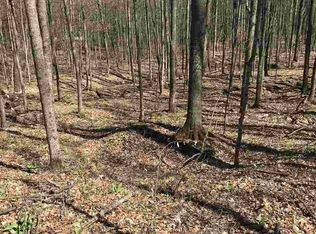 5044 Valley Rd, Alanson, MI 49706