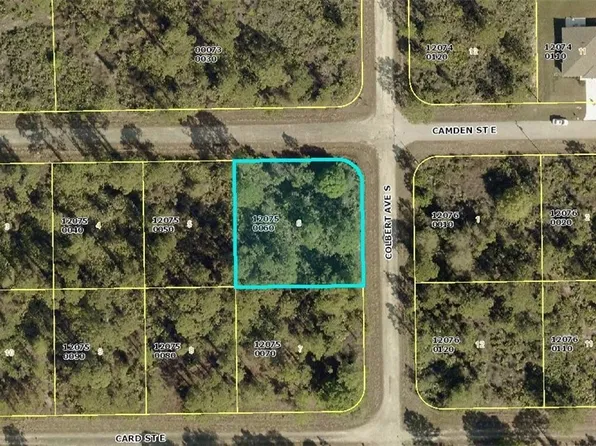 1026 Camden St E, Lehigh Acres, FL 33974