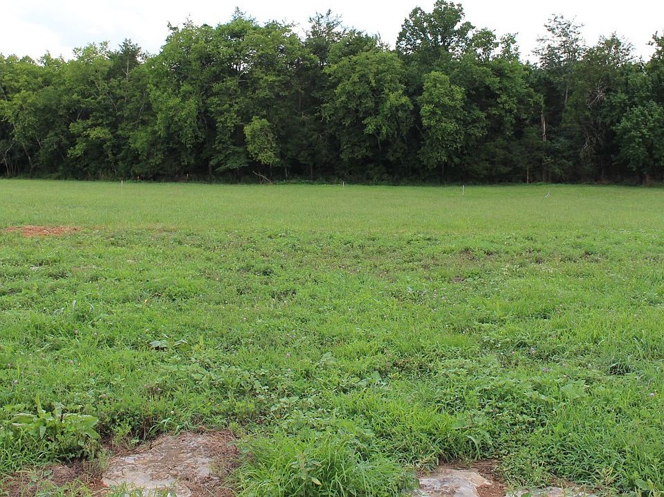 2nd image of 9715 Midland Rd Lot 8