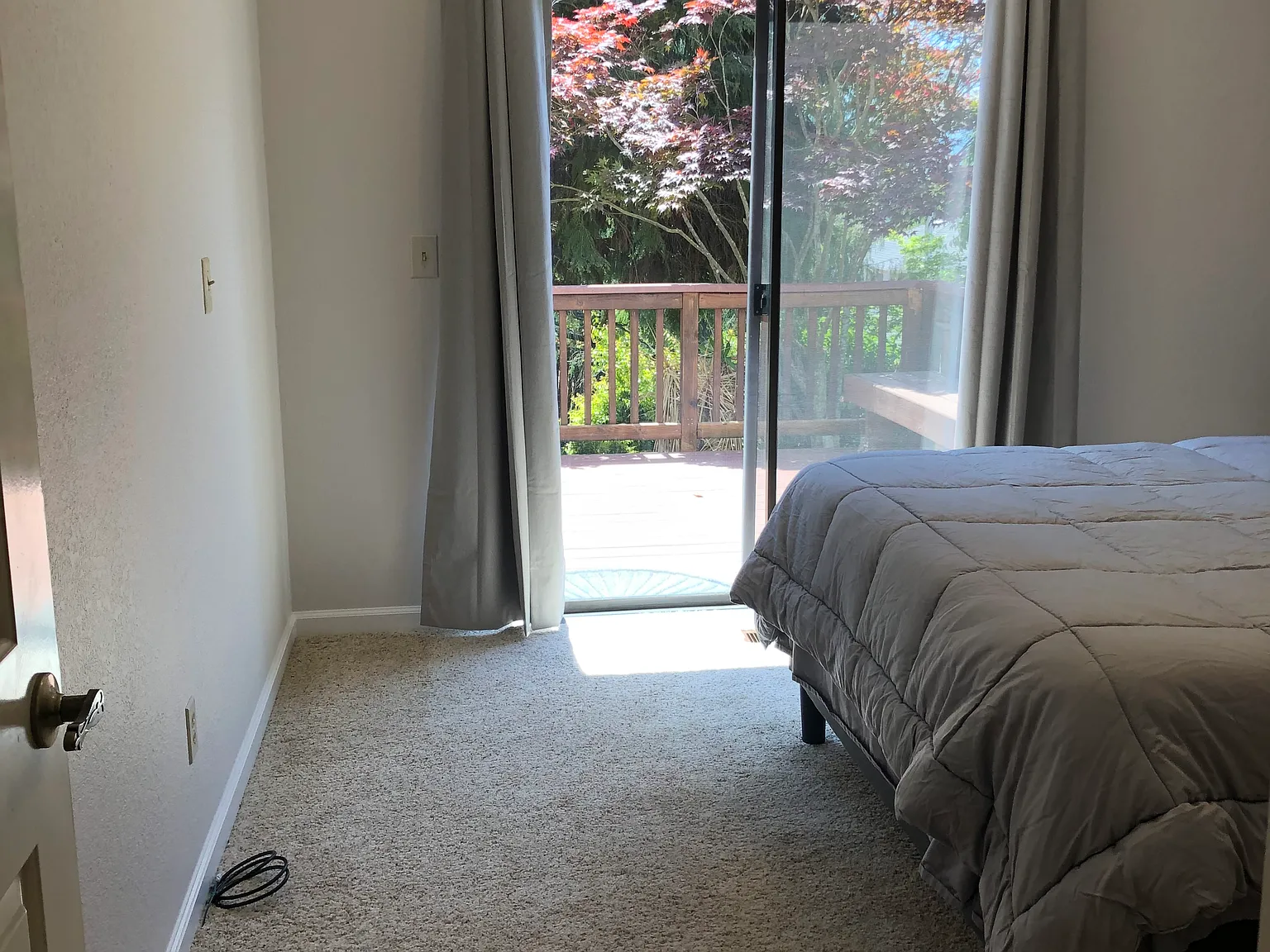 1 bed, 700 sqft, $1,600 — Photo 4