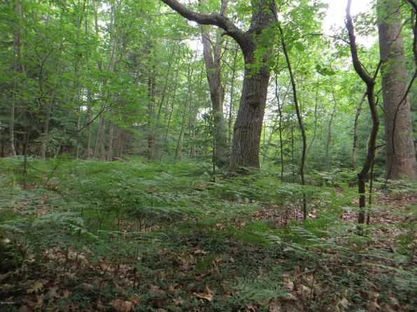 Bayou Rd, Montague, MI 49437