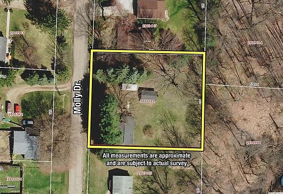4th image of 3363 Molly Dr
