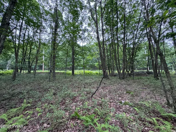 244 Elderberry Ln, Hazleton, PA 18202