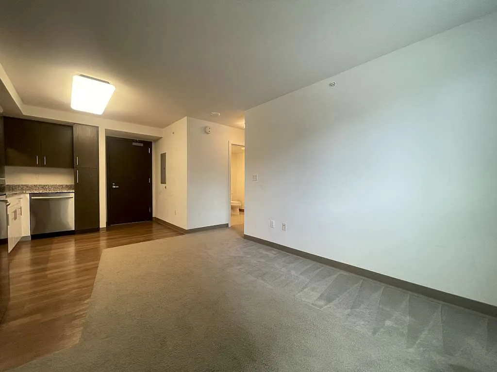 1 bed, 482 sqft, $2,500 — Photo 4