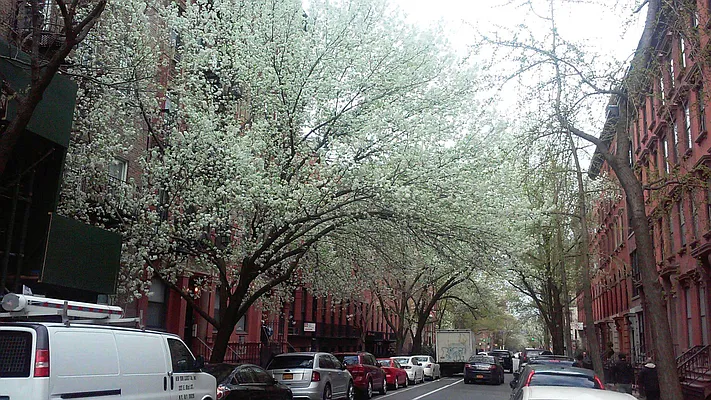 Sold by Corcoran | media 13